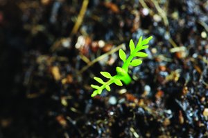 平台选型指南:找到最适合你的方案